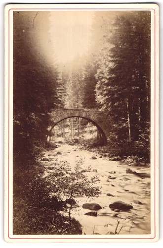 Photo braun cie - ad.,