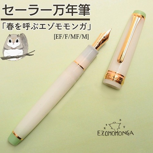 Stylo plume sailor pro - stylo,