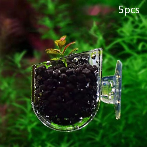 Accessoire pot de - de, plante