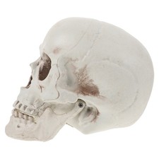  Tête De Mort Décoration Décorations D'halloween Crâne Plastique Parure