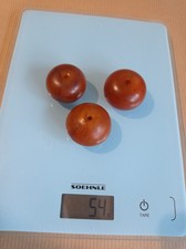 Perles  bakélite ambre