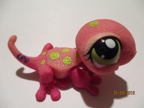 Petshop lezard 1455 - lezard, n°1455