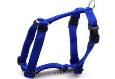 Harnais NYLON CLASSIC Bleu