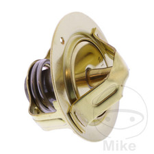 SIN MARCA Thermostat de