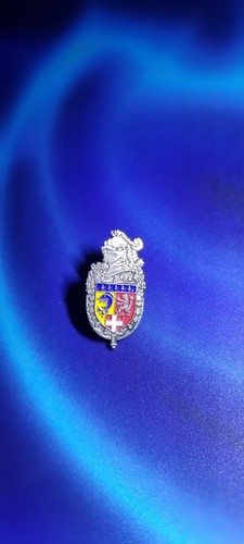 Pin médiéval blason - pin's,