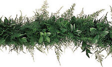 Plumosa Ruscus Garland / 10 ft section / Wholesale / Grower Direct