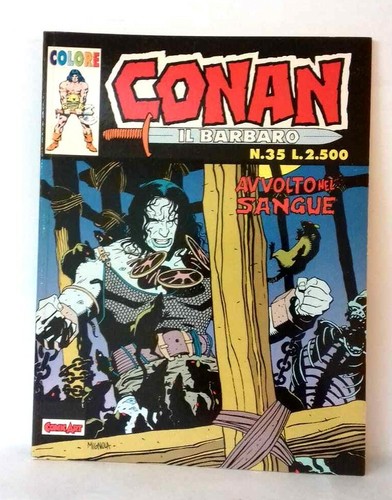 Conan barbare enveloppé - conan, barbare,