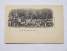 Capture d'un éléphant en Annam - Cochinchine Indochine - Carte postale ancienne