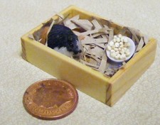 Maison de Poupées Cochon