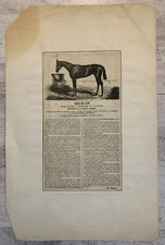 Fille de l'Air Woodcote Skates