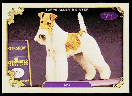 2024 topps allen ginter - allen,