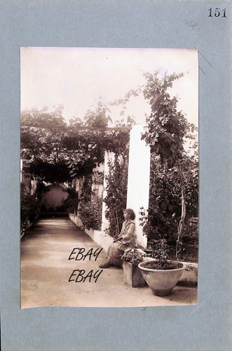 Album print wilhelm von - album,