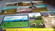 Lot 10 cartes postales sur les moutons de 1959 à 2025 Lourdes Limousin Montcuq