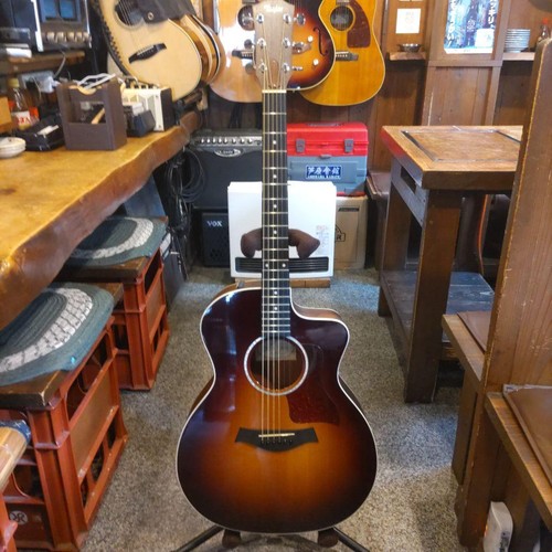 Guitare électrique acoustique