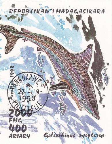 Madagascar 1993 requin - 1993,