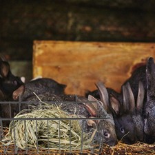  Support de foin suspendu