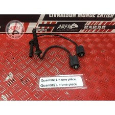 Bobine d'allumage Yamaha TDM 900 2002 à 2014