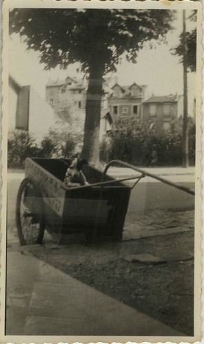 Photo ancienne vintage - photo,