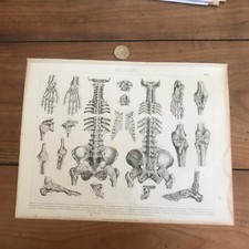 gravure ancienne 19eme N742