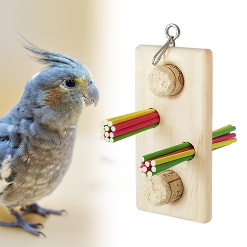 Jouets mâcher pour - mâcher,