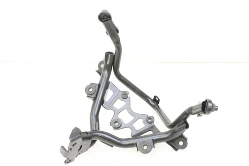 Araignee tete fourche - tete,