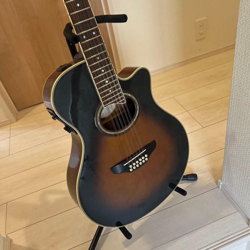 Guitare électrique acoustique