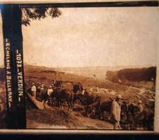 CHEVAUX VERDUN ECHELONS BELLERAY PHOTO VUE STÉRÉO PLAQUE VERRE GUERRE 14 18 WW1