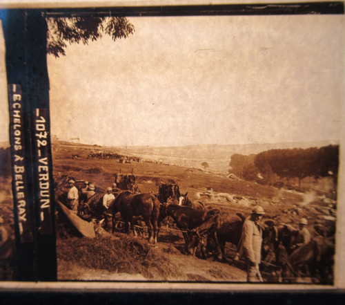 Chevaux verdun echelons - chevaux,