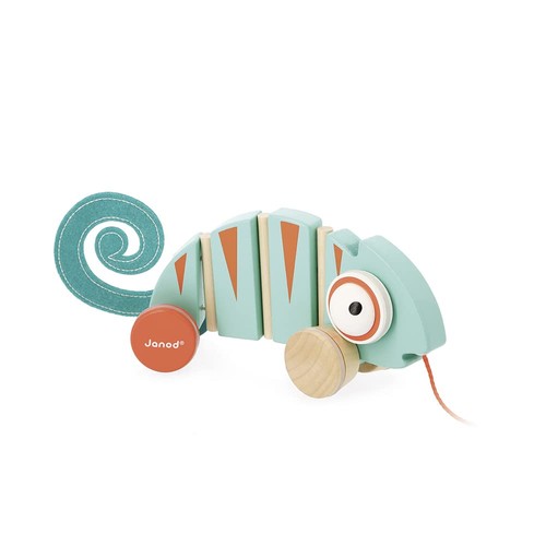 Caméléon tirer tropik - caméléon, à