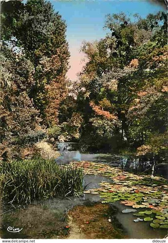 Carte postale saint - -,