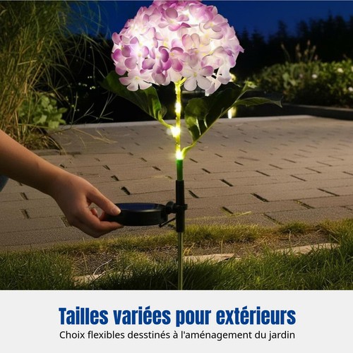 Lampe solaire hortensia sur - lampe,