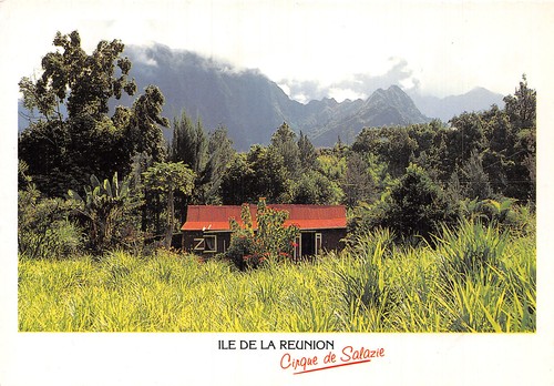974 ile reunion - ile, case