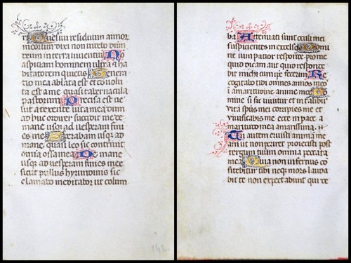 Parchemin manuscrit gothique - manuscrit,