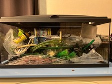 AQUARIUM TOUT ÉQUIPÉ 80 LITRES