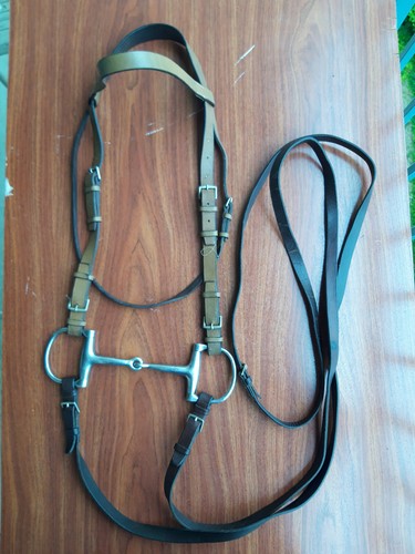 Filet cheval avec mors - cheval, à