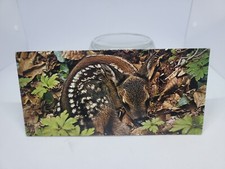 NESLE - MERVEILLES DU MONDE 