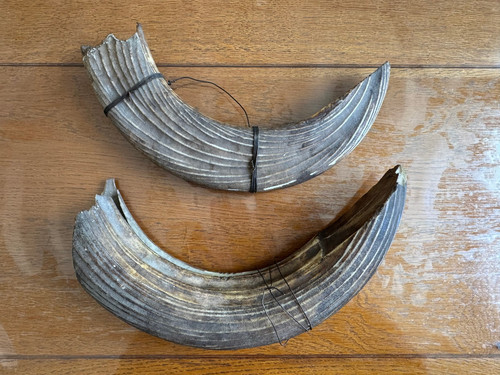 Lot deux dents - lot,