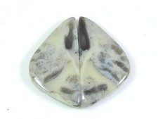 Paire de pierres précieuses