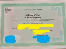 Livret 2 VAE AS aide soignant 2023 Nouvelle réforme validé + oral  + ENVOI MAIL