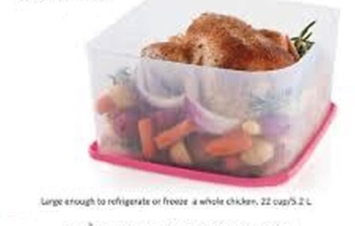 Tupperware fresh cool large - tupperware,