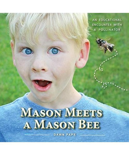 Mason meets bee - meets, a