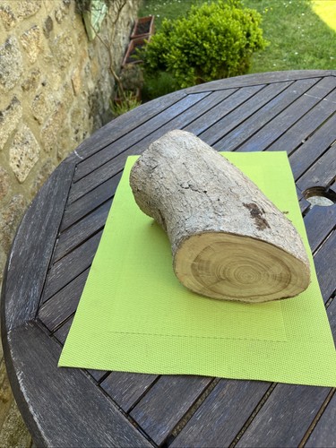Rondin bois tulipier de - bois,