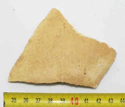 Fragment coquille œuf - de,