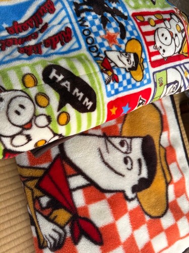 Toy story sheet blanket - sheet,