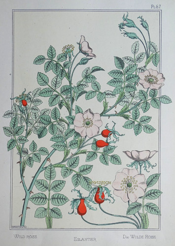 Verneuil eugène grasset - verneuil,