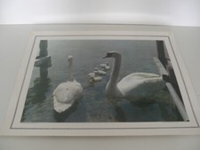 ANCIENNE PLANCHE AFFICHE