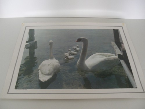 Ancienne planche affiche - ancienne,