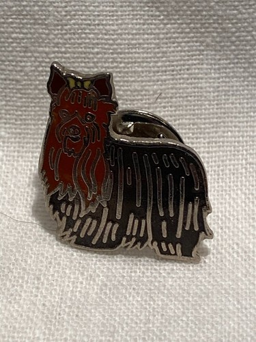 Pin chien yorkshire - chien,