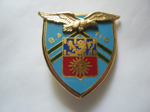 Insigne armee air la base - de,