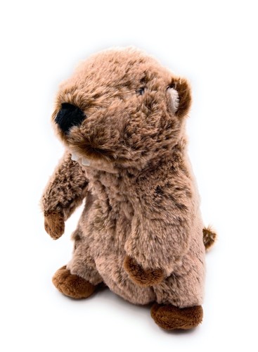 Onwomania peluche écureuil - onwomania,